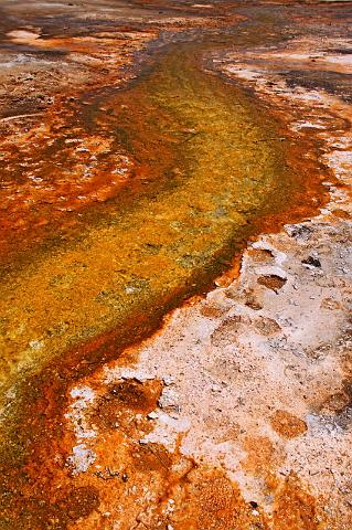 073 yellowstone, upper geyser biscuit basin.JPG